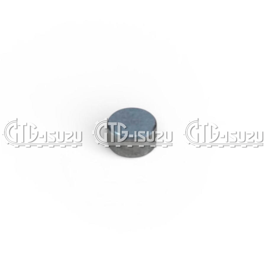 Колпачок клапана (толкателя) ISUZU 4HG1/4HK1/6HK1 BESUTO BS1020-256 (8943960152) (фото 2)